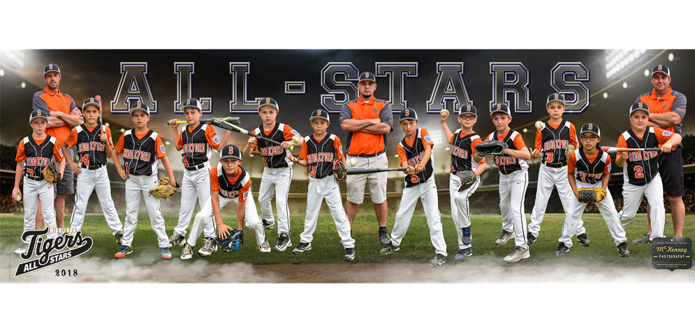 Your 2019 10U Baseball All Star Team
